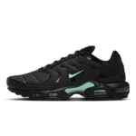 nike-tn-air-max-plus-black-mint-green-dm0032-029-front_w1024_h1024_pad_.jpg